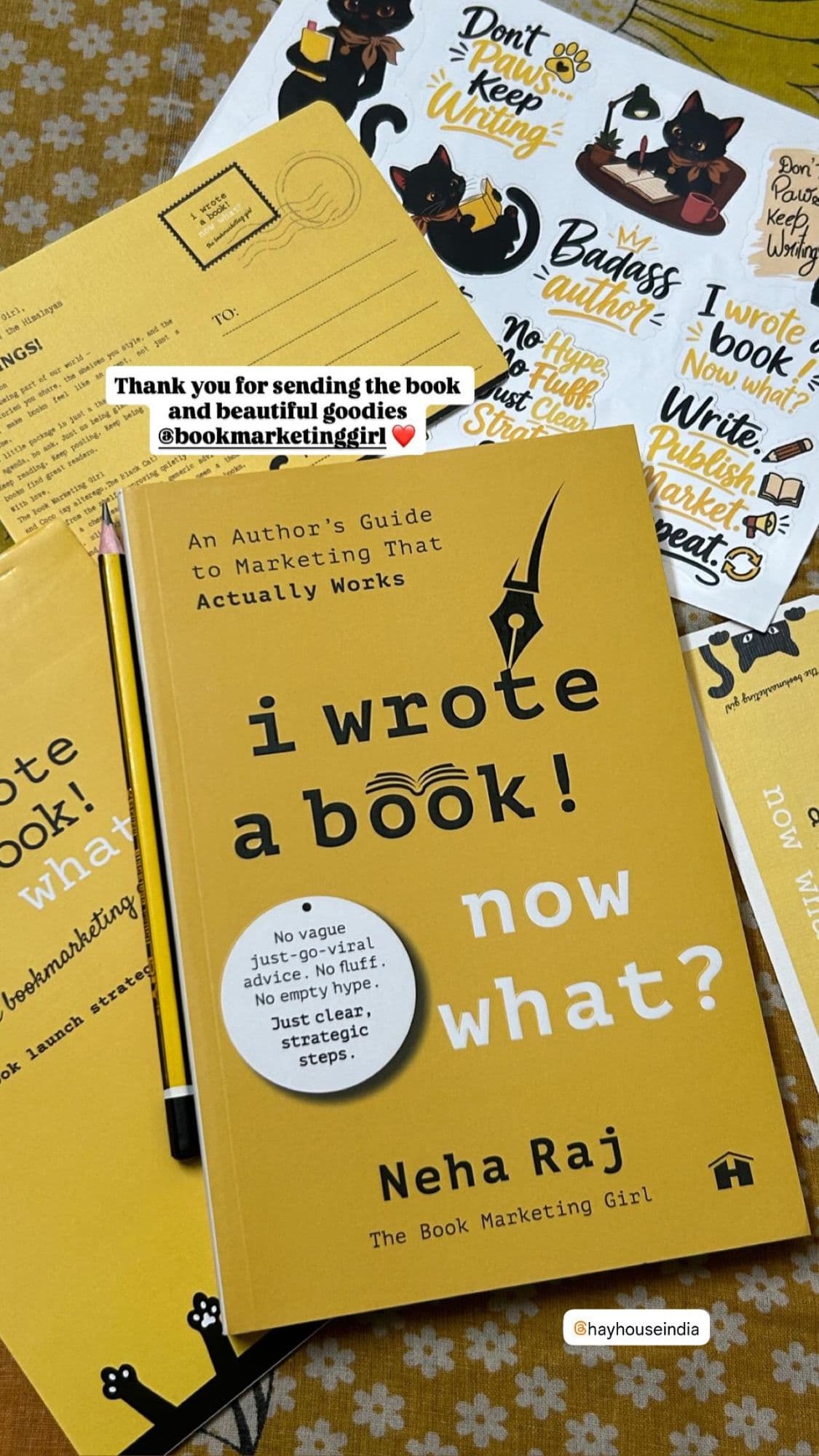The book I Wrote a Book! Now What? with its branded merchandise and goodies